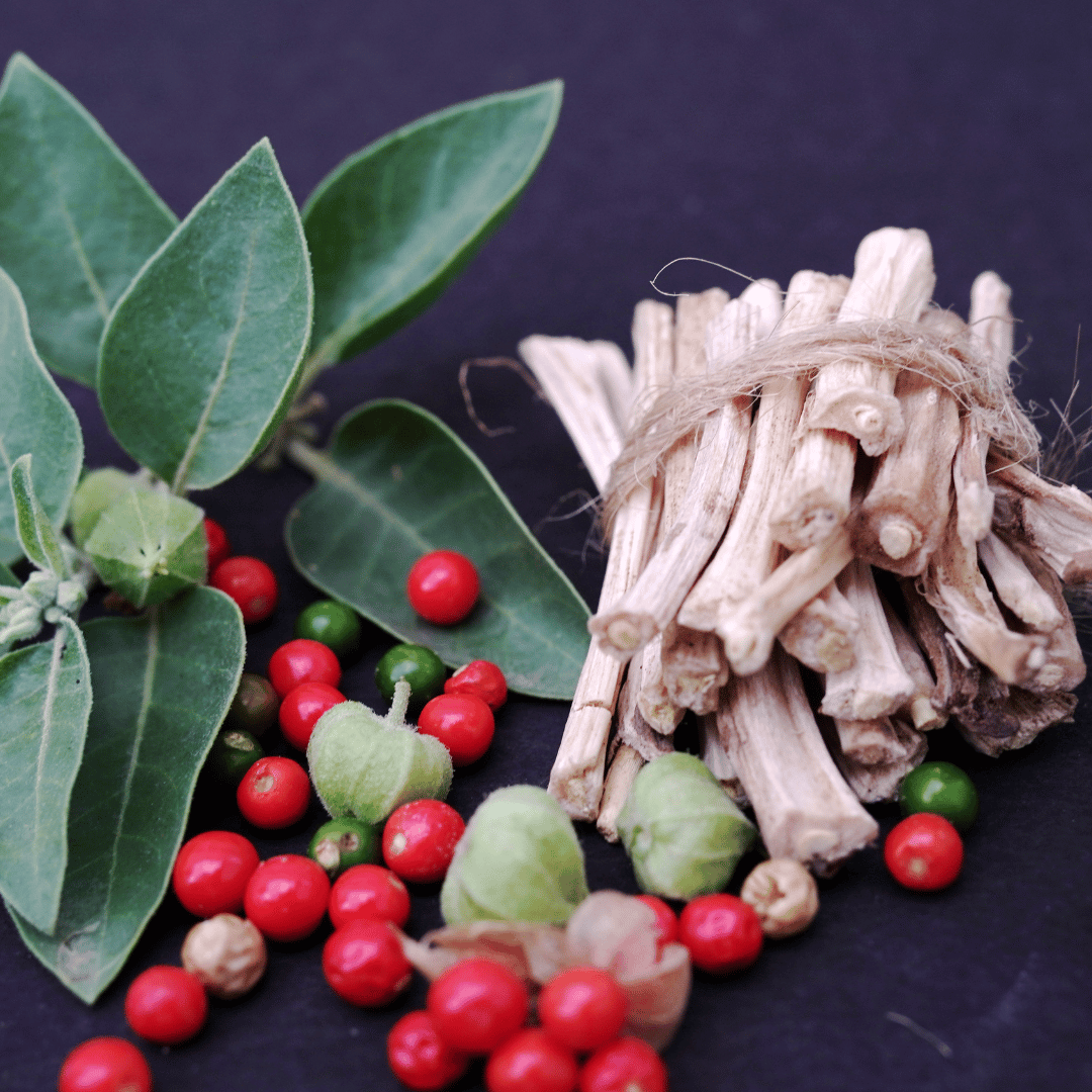 Image of Ashwagangha plant and root