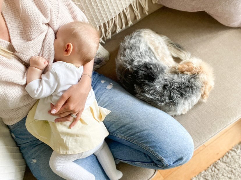 Lady sat on cream sofa with dog next to her, breastfeeding a baby 
