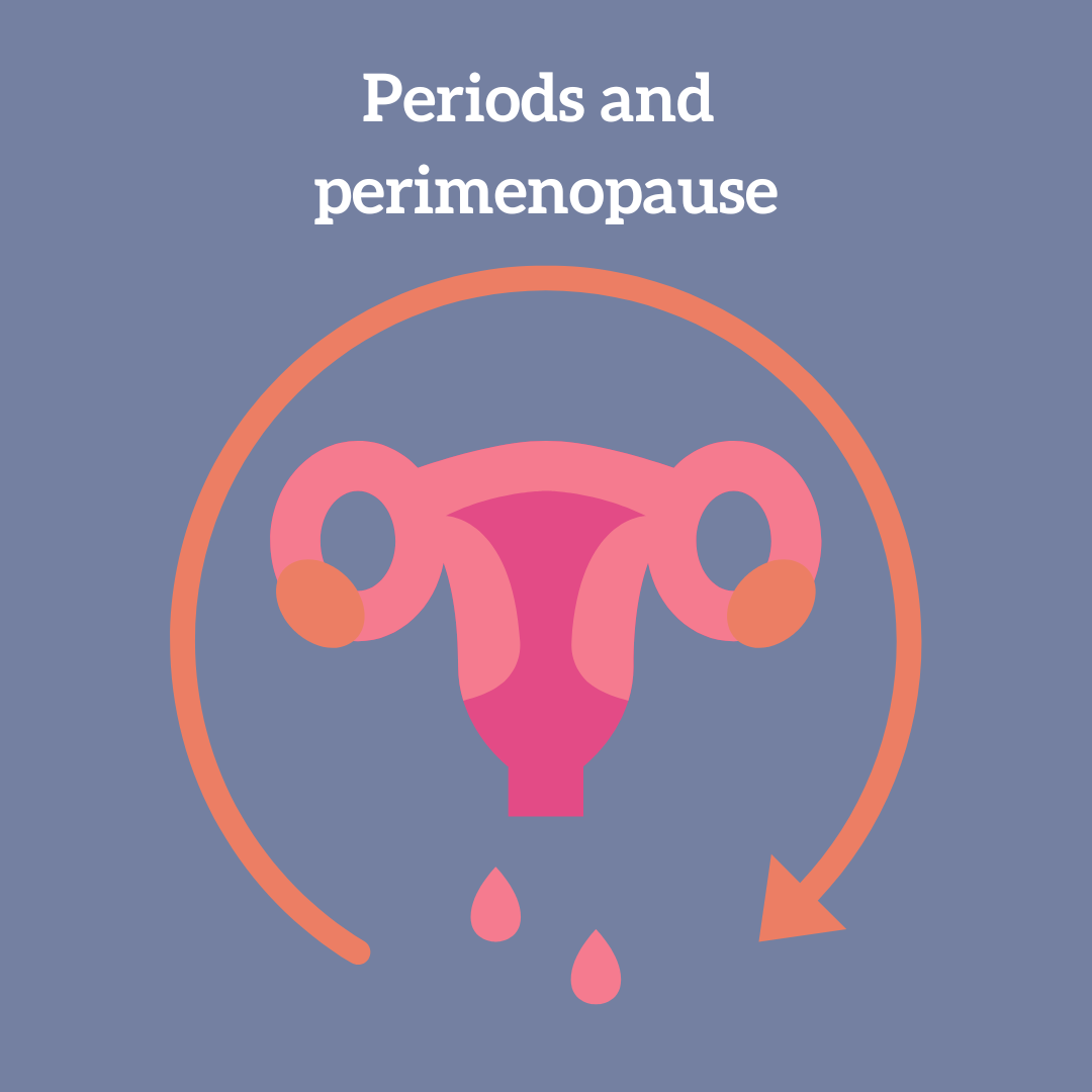 Periods and perimenopause