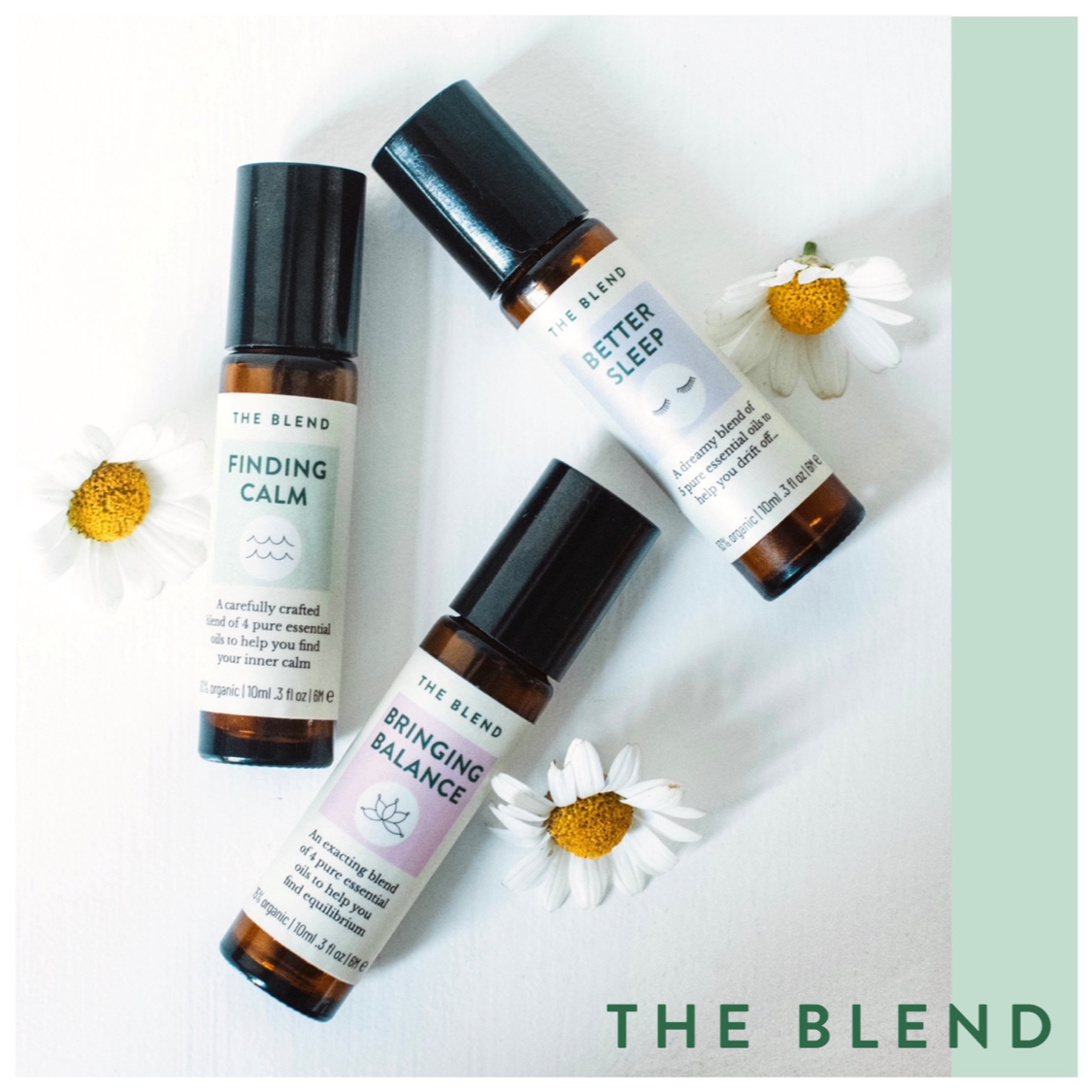3 packs of essential oils surrounded by chamomile flowers, with The Blend logo