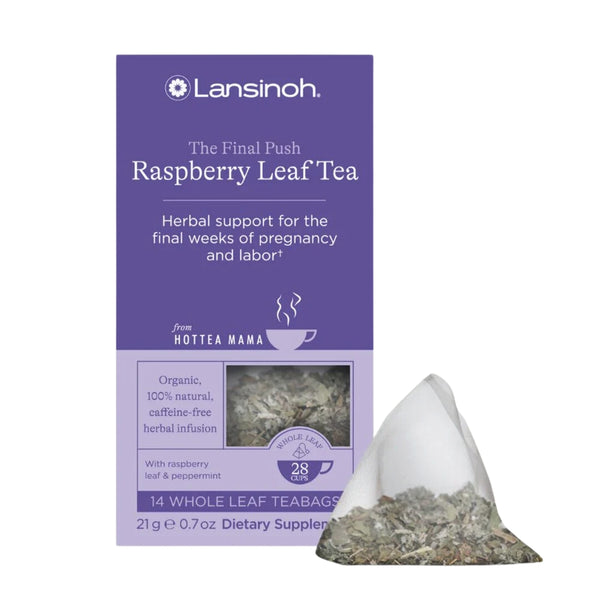 Purple pack of The Final Push raspberry leaf tea with Lansinoh and HotTea Mama logos on pack, with a whole leaf raspberry leaf tea sat next to the box, on a white background.